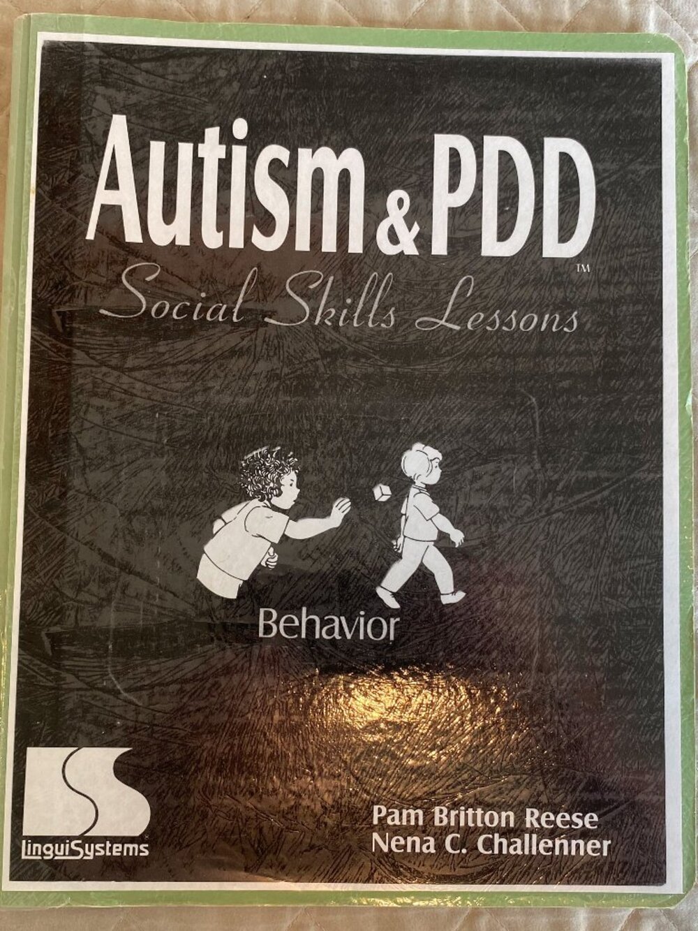 Autism & PDD- Social Skills Lessons